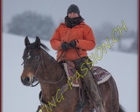 SEMSALES - 0247